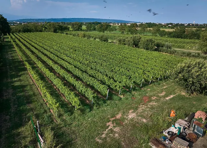Agriturismo Zappare Farm Hotel