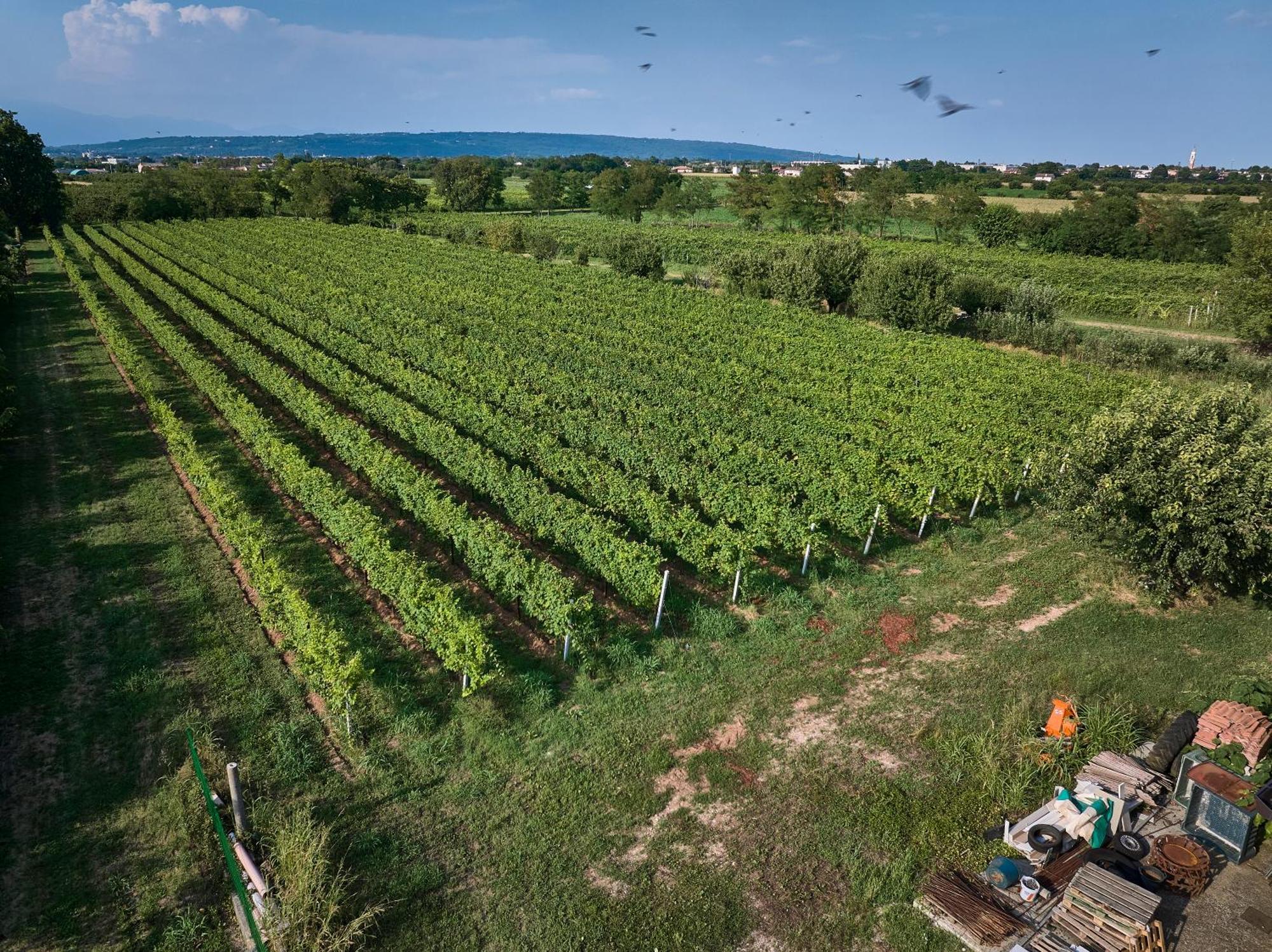 Zappare Farm *