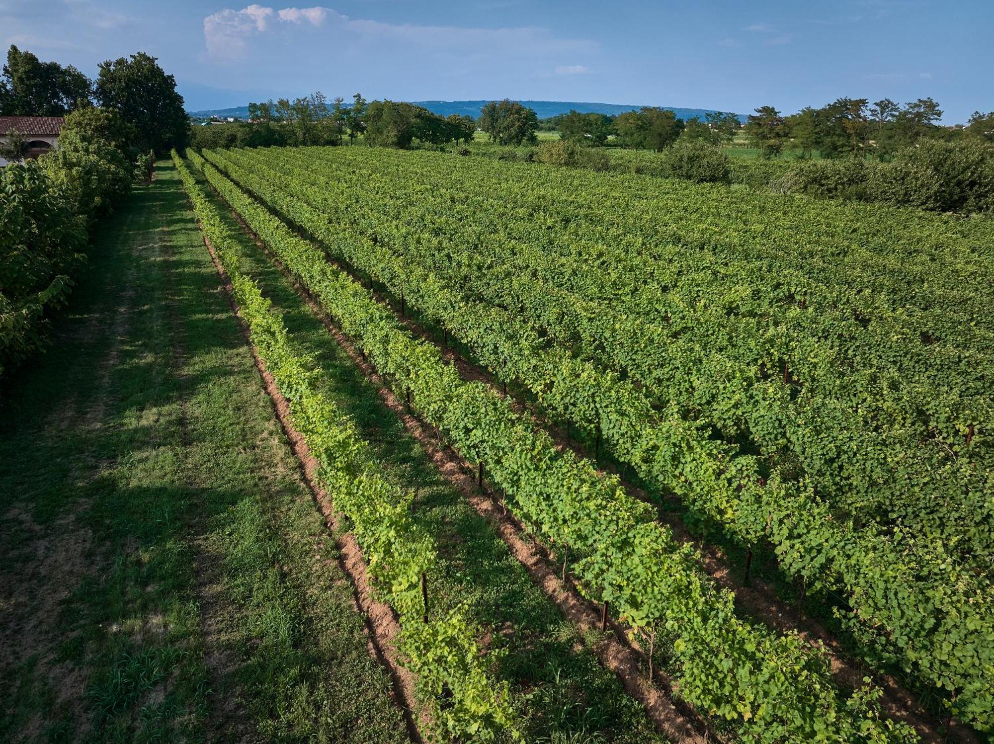 Zappare Farm * Trevignano