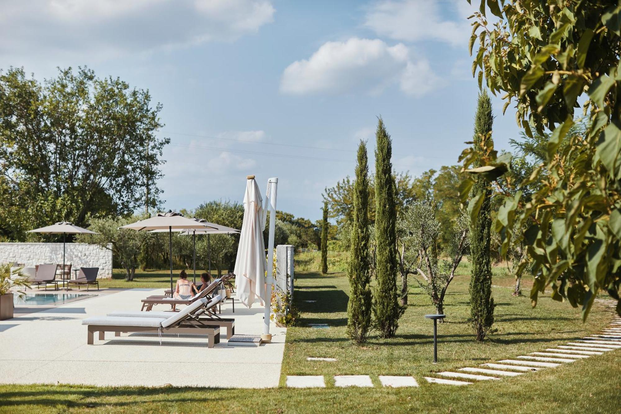Zappare Farm Trevignano